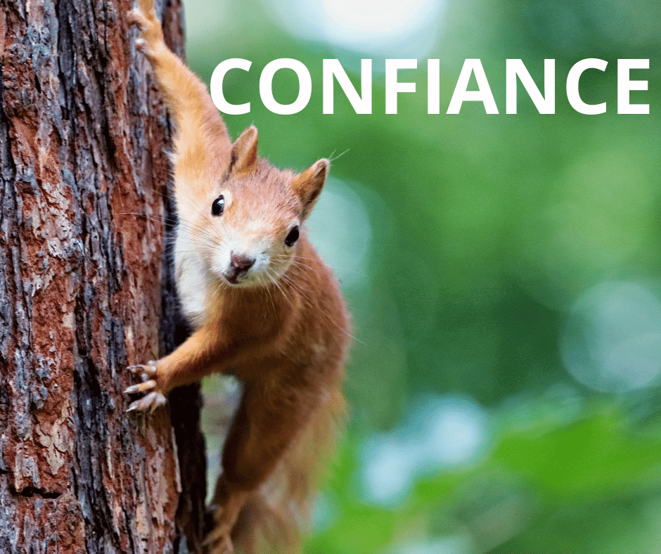 Force n°2 : la confiance