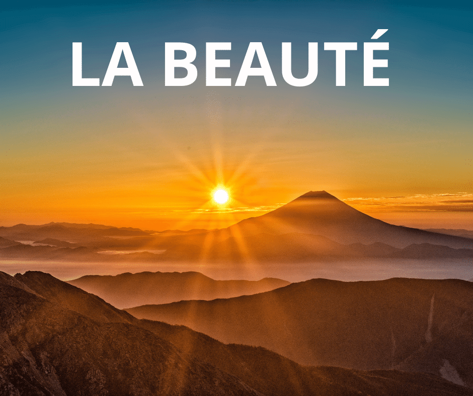 Force n°3 : la beauté